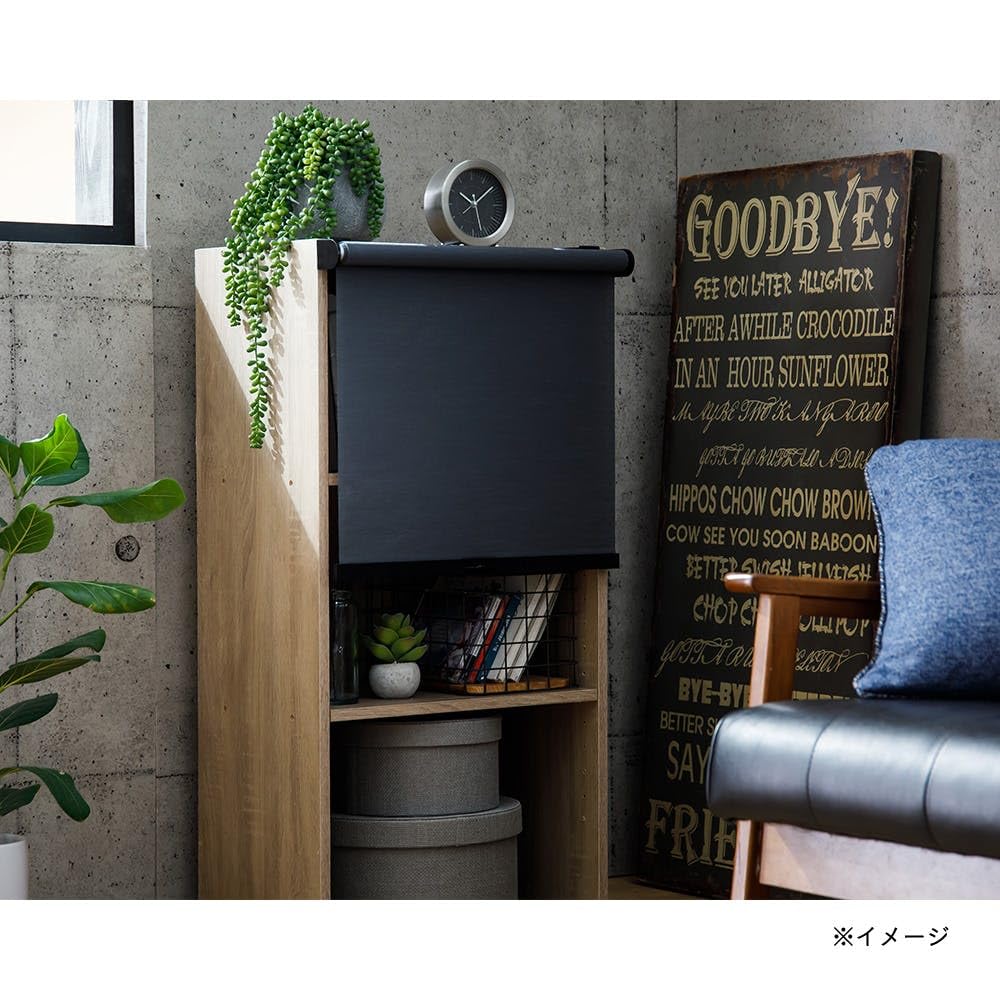 Amazon.co.jp: カインズ(CAINZ) スリムロールスクリーン ブラック 横